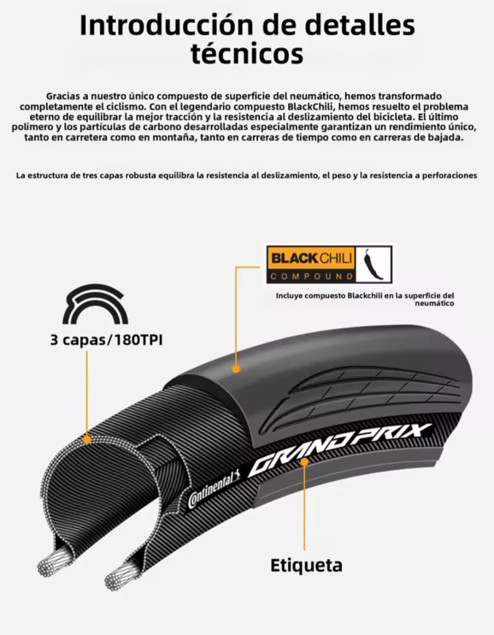 Coraza Continental Grand Prix TR Tubeless